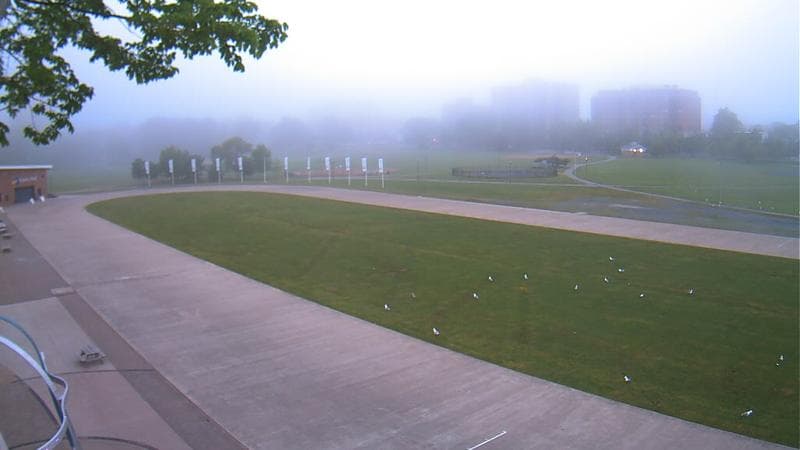 Emera Oval