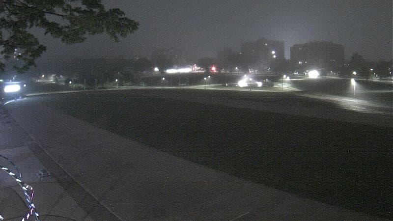 Emera Oval