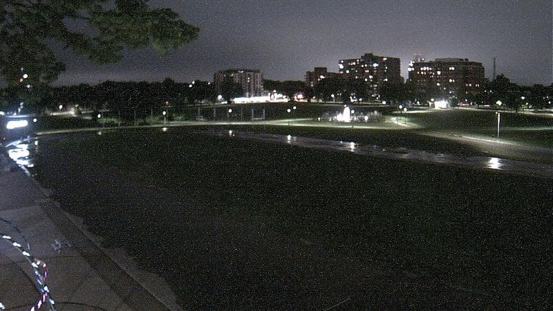 Emera Oval
