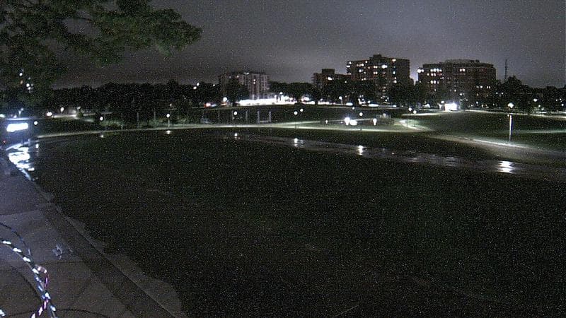 Emera Oval