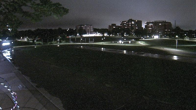 Emera Oval