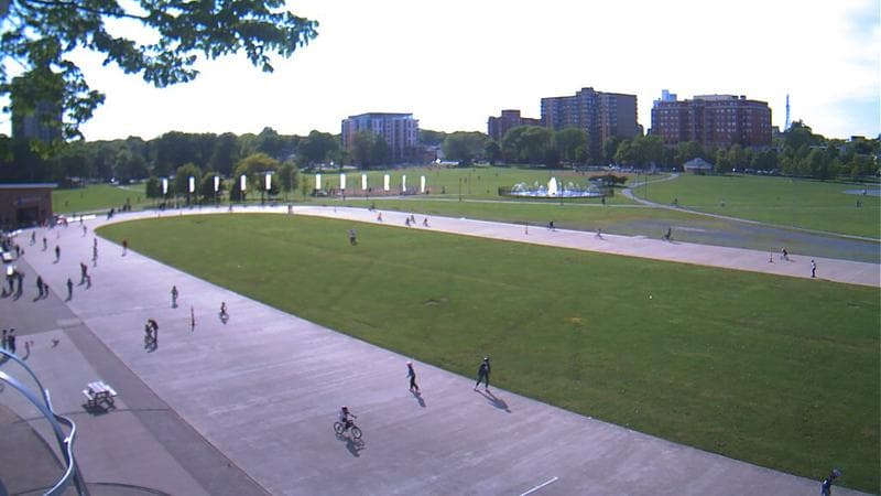 Emera Oval