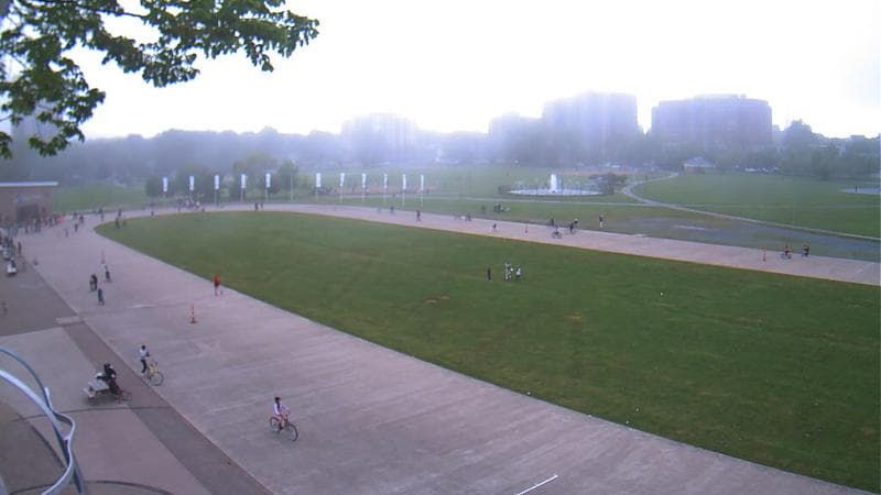 Emera Oval