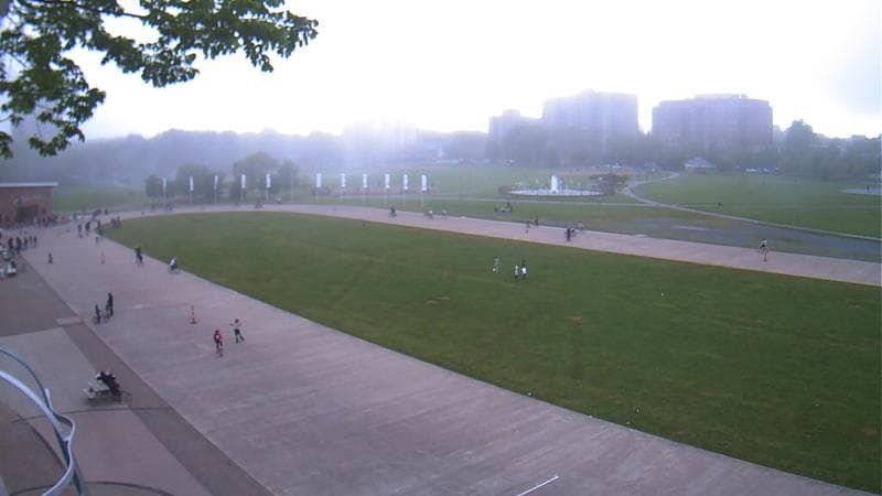 Emera Oval