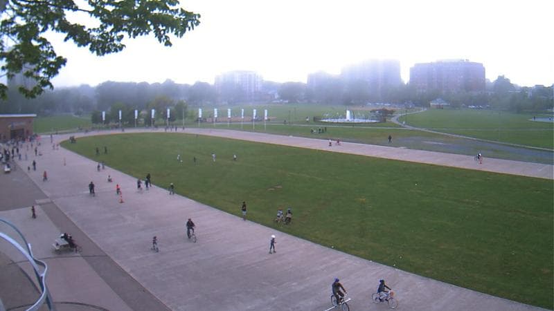 Emera Oval