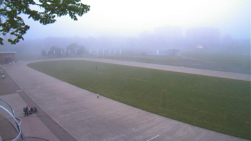 Emera Oval