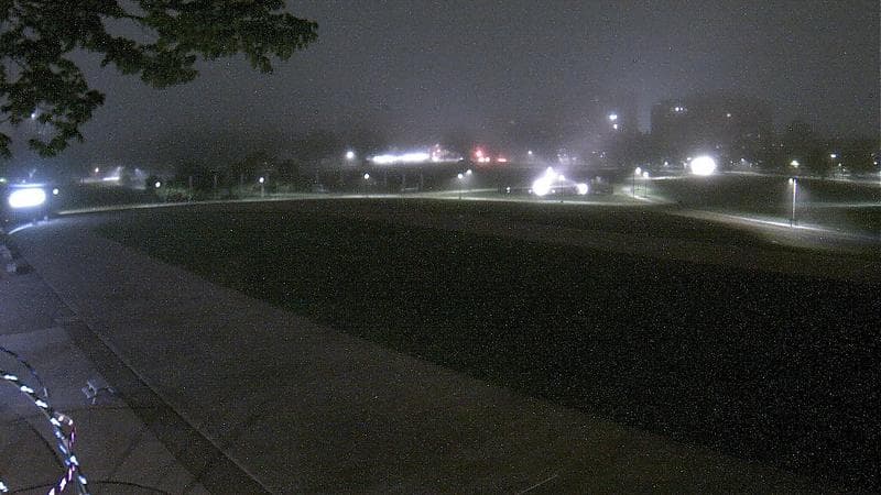 Emera Oval