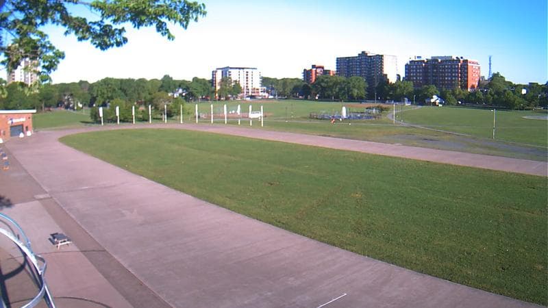 Emera Oval