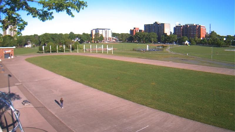 Emera Oval
