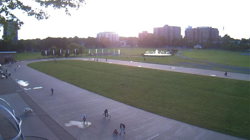 Emera Oval