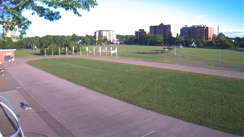 Emera Oval