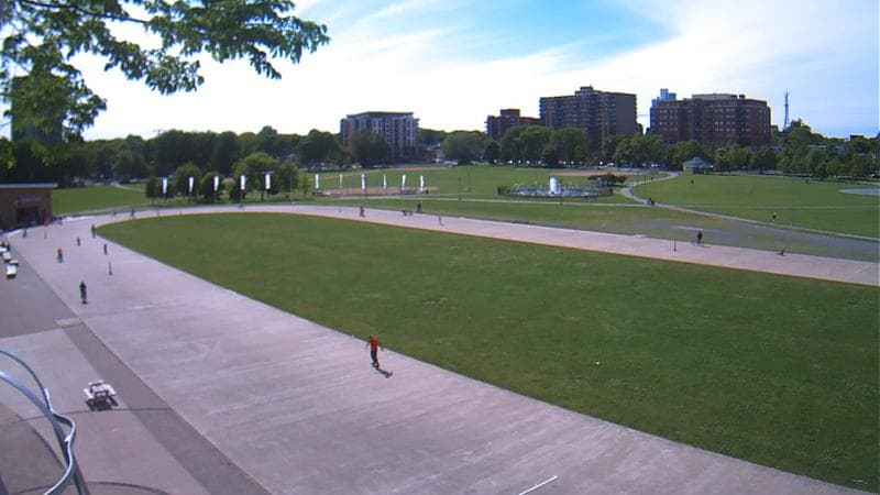 Emera Oval