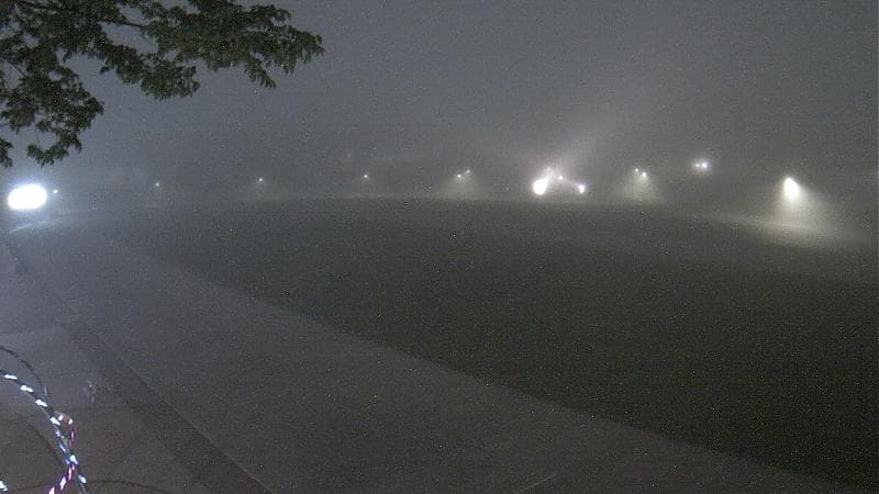 Emera Oval