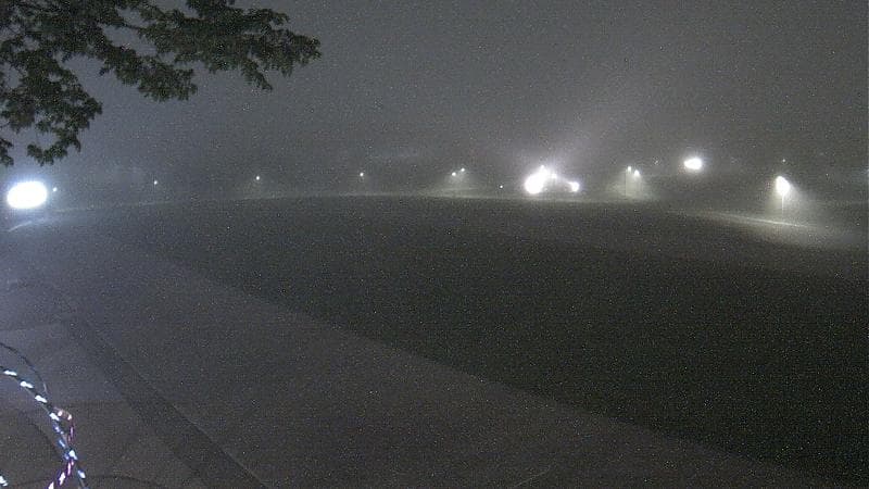 Emera Oval