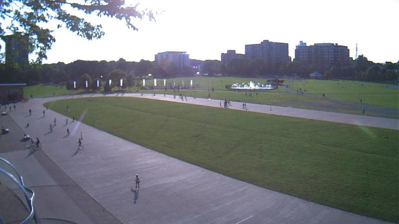 Emera Oval