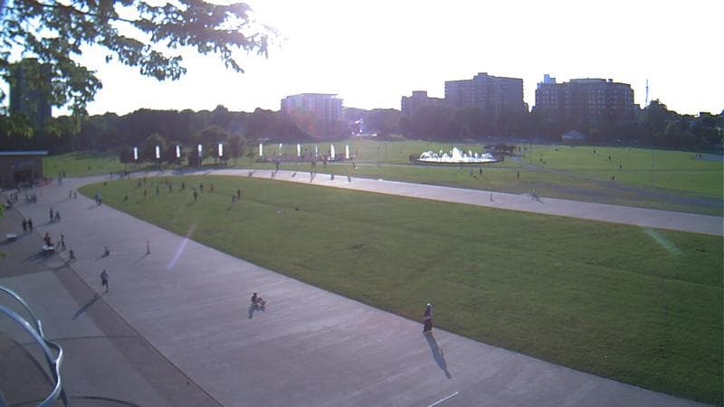 Emera Oval