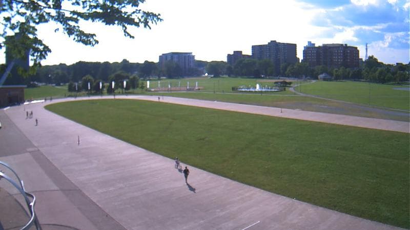 Emera Oval