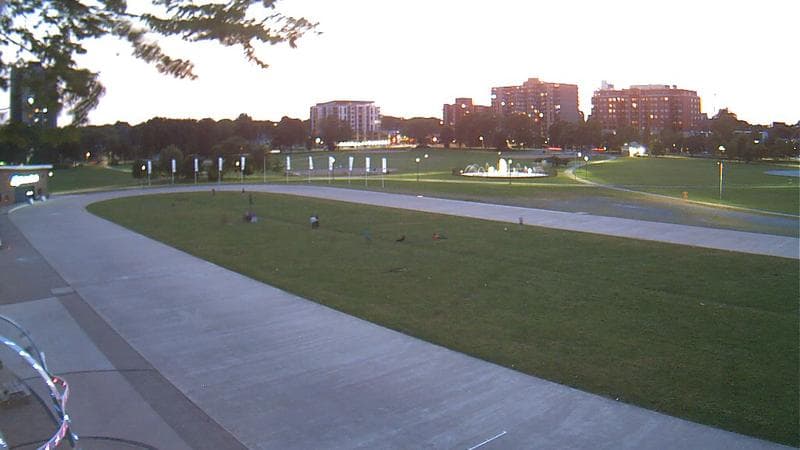 Emera Oval
