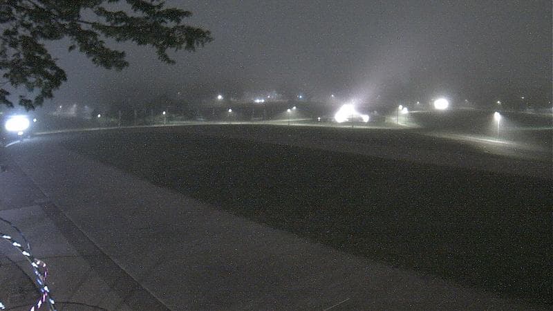Emera Oval