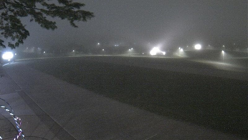Emera Oval