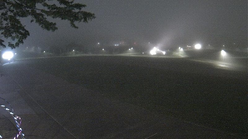 Emera Oval