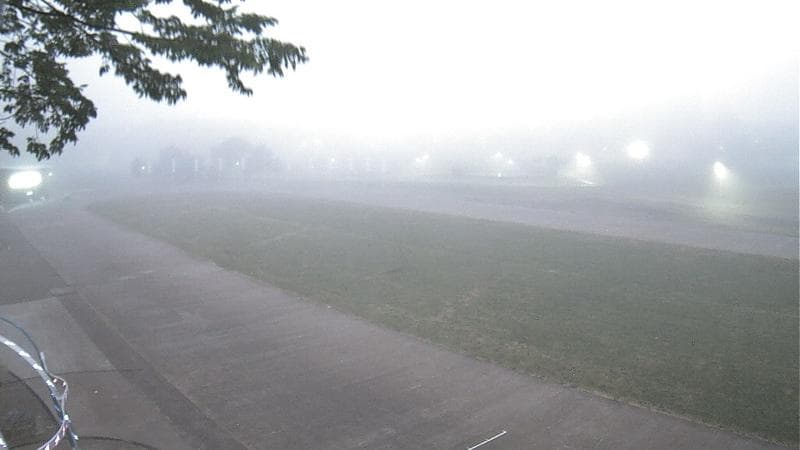 Emera Oval