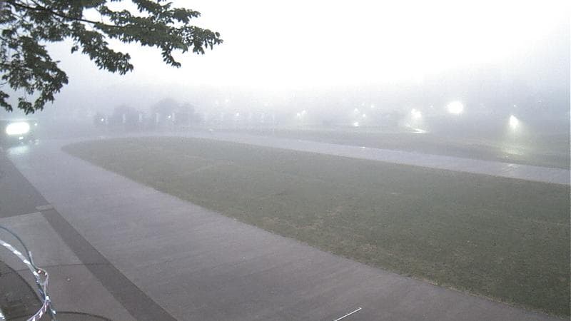 Emera Oval