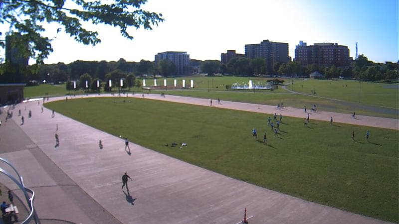 Emera Oval
