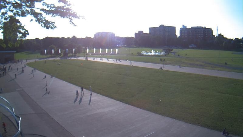 Emera Oval
