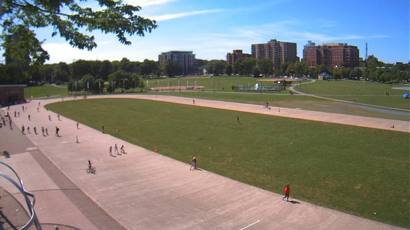 Emera Oval