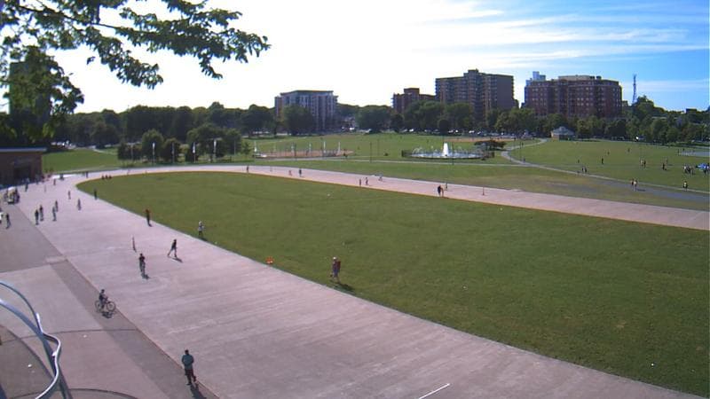 Emera Oval