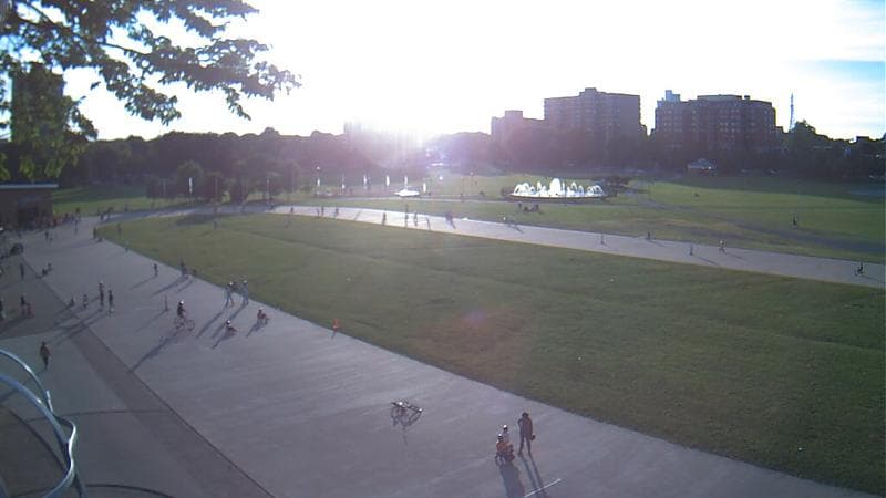 Emera Oval