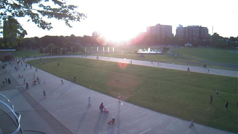 Emera Oval