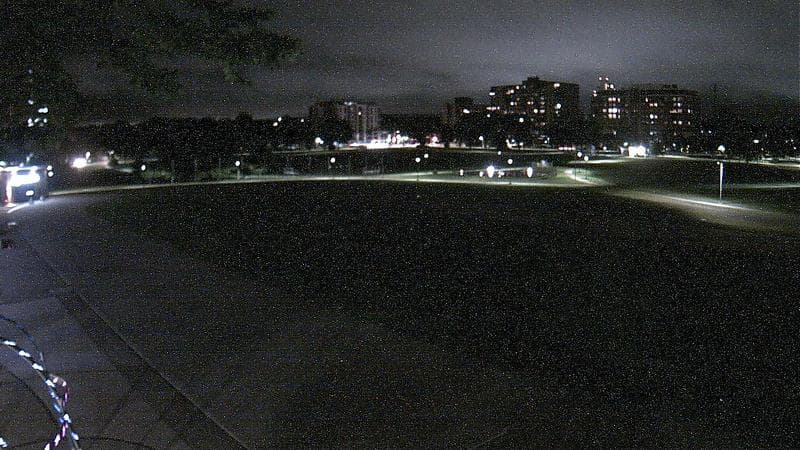 Emera Oval