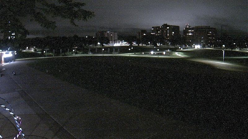 Emera Oval