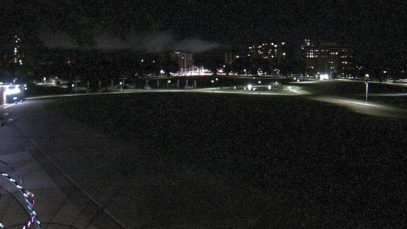 Emera Oval