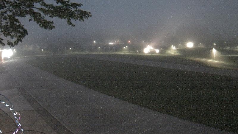 Emera Oval