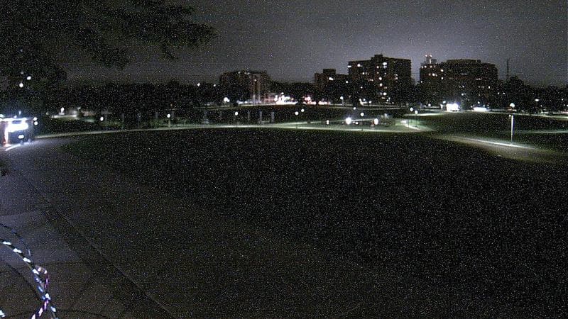 Emera Oval