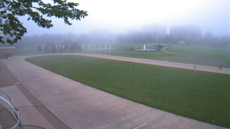 Emera Oval