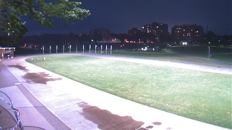 Emera Oval