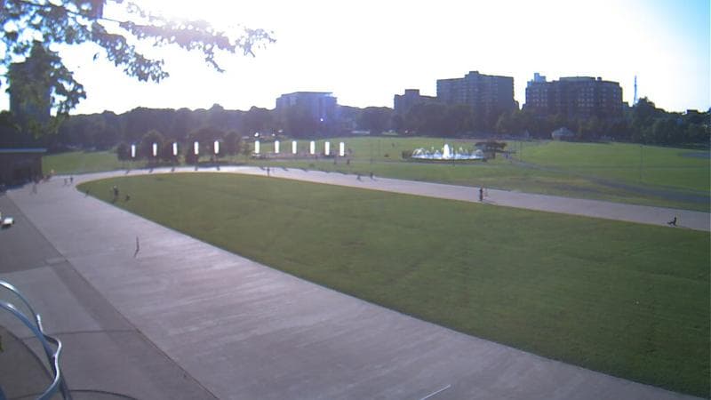 Emera Oval
