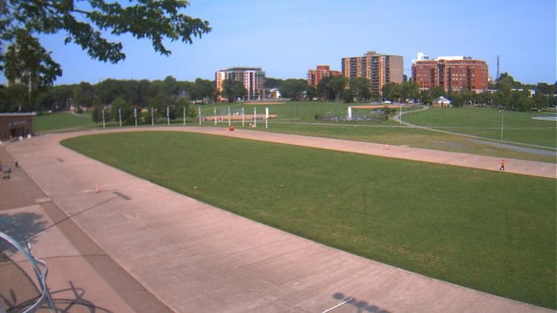 Emera Oval