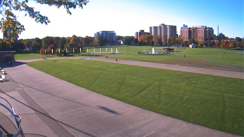 Emera Oval