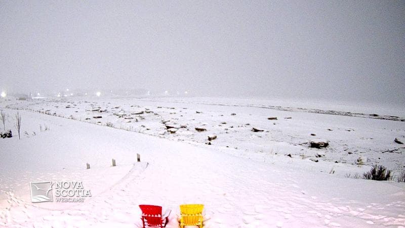 Fundy Discovery Site