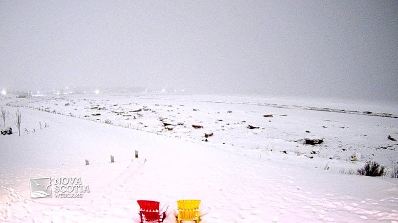 Fundy Discovery Site