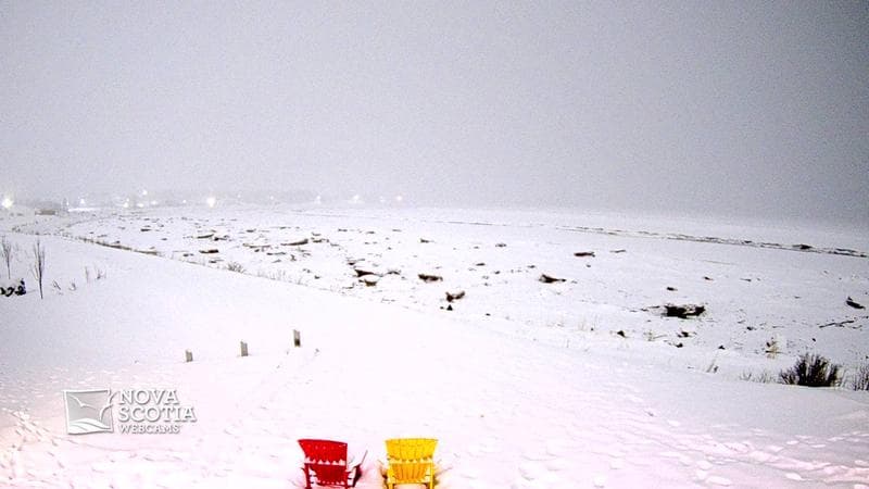 Fundy Discovery Site