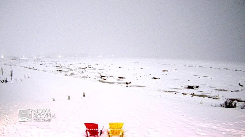 Fundy Discovery Site