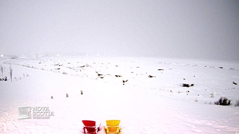 Fundy Discovery Site