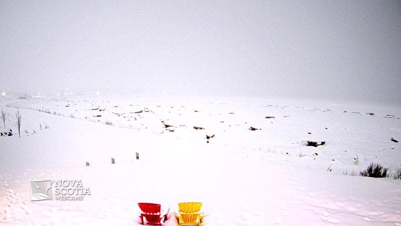 Fundy Discovery Site