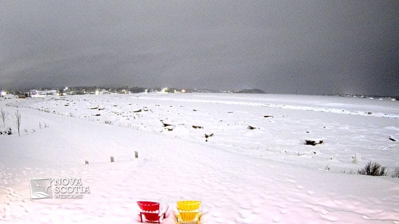 Fundy Discovery Site